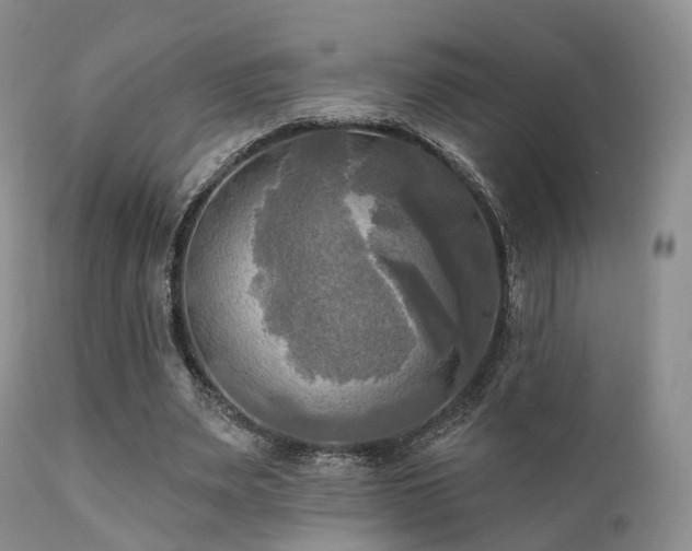 X0000112100487200908111421