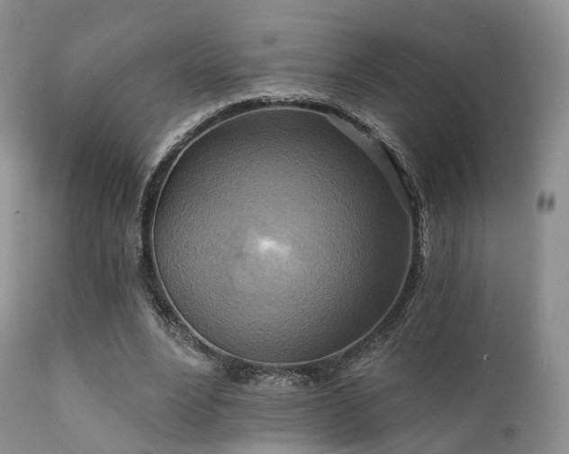 X0000112100488200908111421