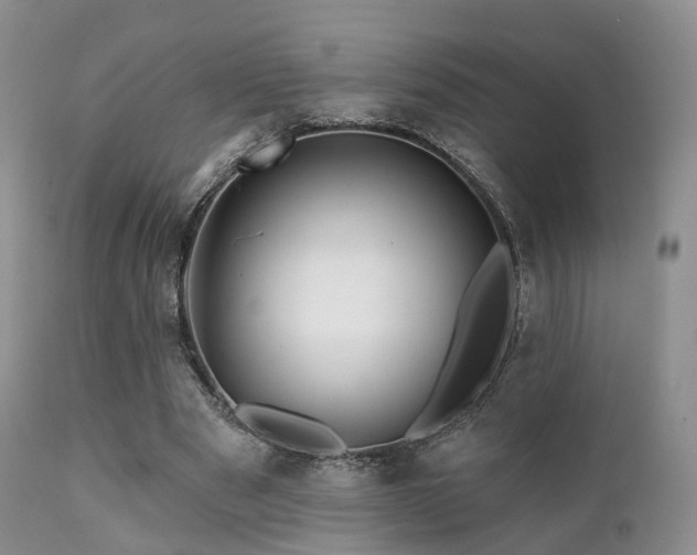 X0000112100489200908111421