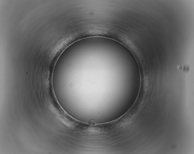 X0000112100490200908111421