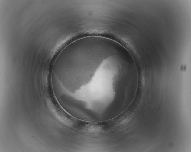 X0000112100491200908111421