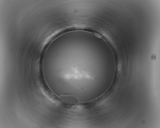 X0000112100492200908111421
