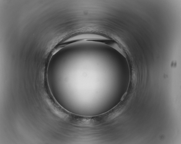 X0000112100493200908111421