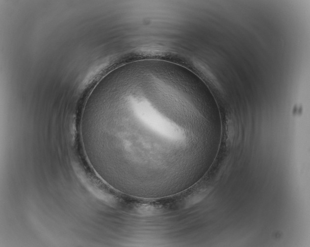 X0000112100494200908111421