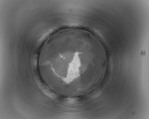 X0000112100495200908111421