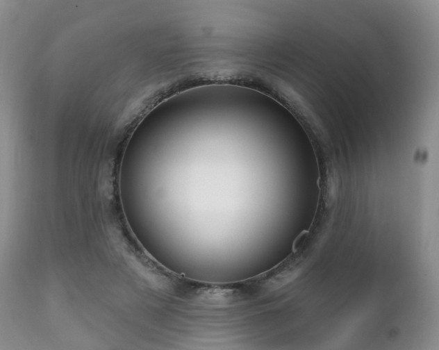 X0000112100497200908111421