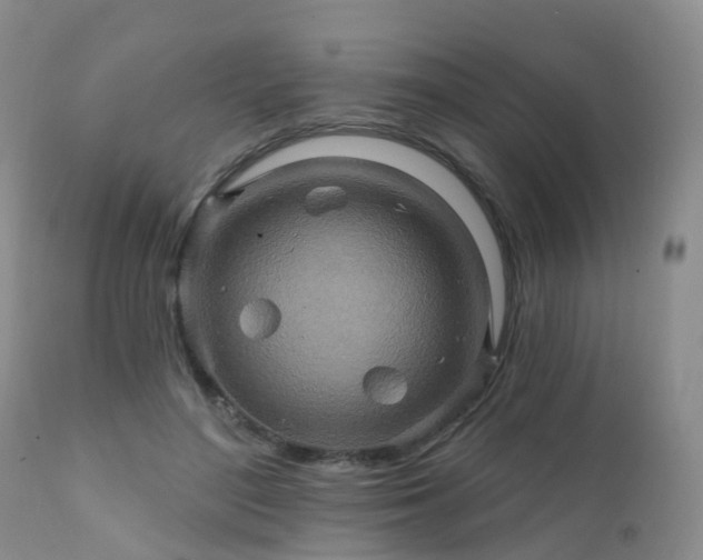 X0000112100500200908111421