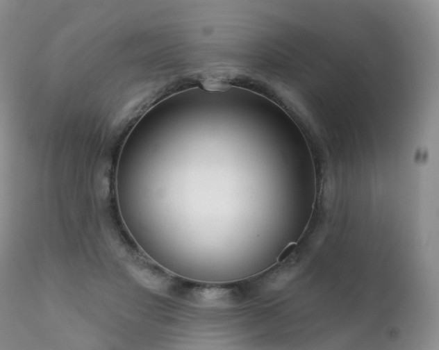 X0000112100501200908111421