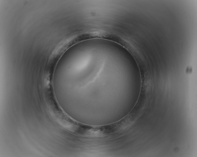 X0000112100502200908111421