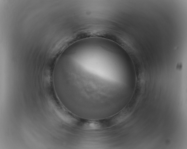 X0000112100506200908111421