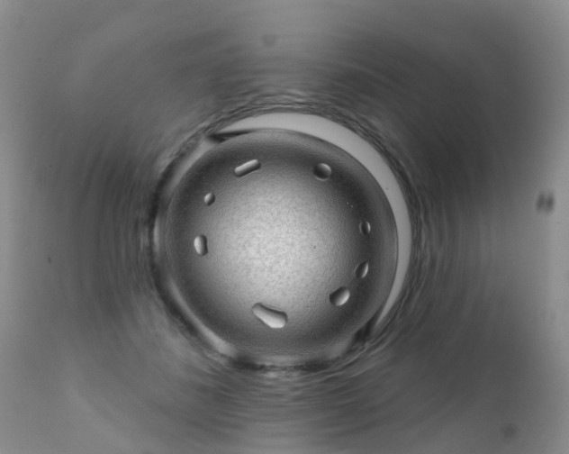 X0000112100508200908111421