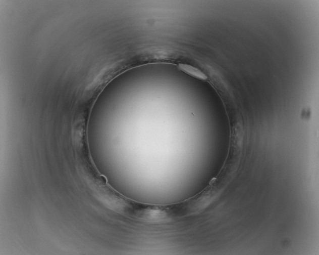 X0000112100509200908111421
