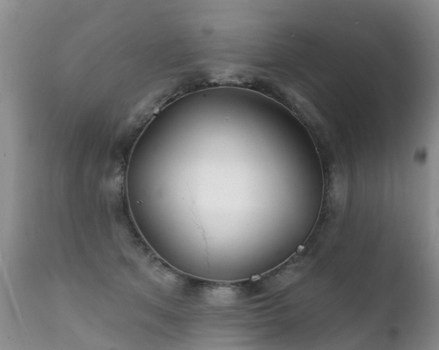 X0000112100513200908111421