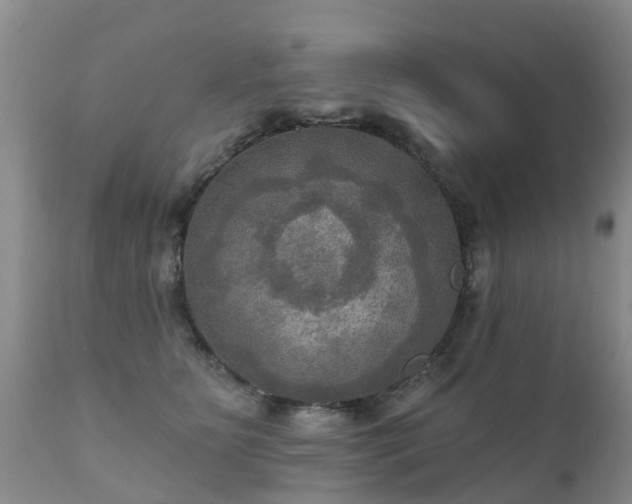 X0000112100515200908111420