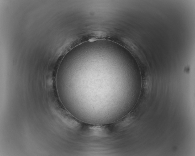 X0000112100516200908111420