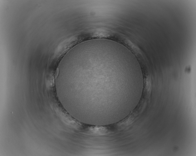 X0000112100517200908111420