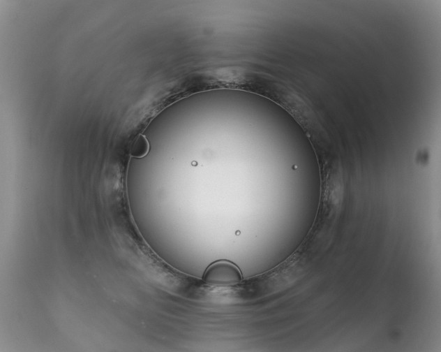 X0000112100518200908111420