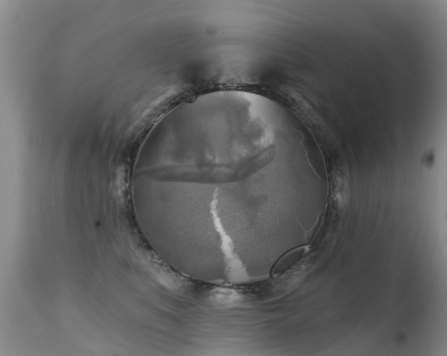 X0000112100519200908111420