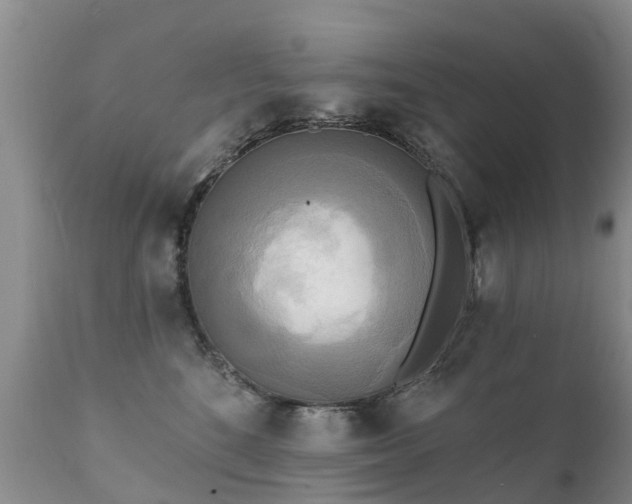 X0000112100520200908111420