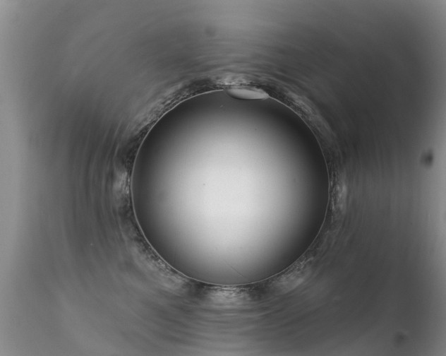 X0000112100521200908111420
