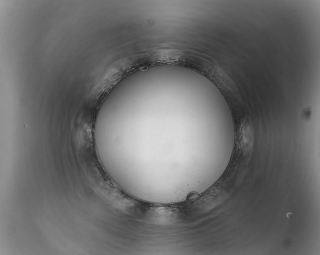 X0000112100522200908111420