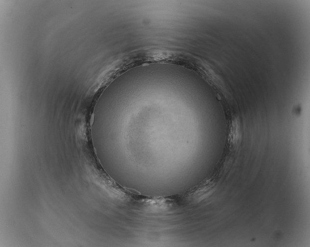 X0000112100524200908111420