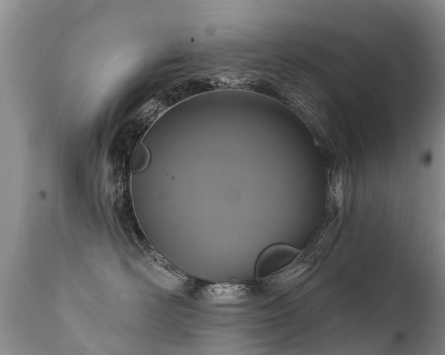 X0000112100526200908111420