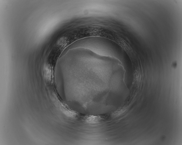 X0000112100527200908111420