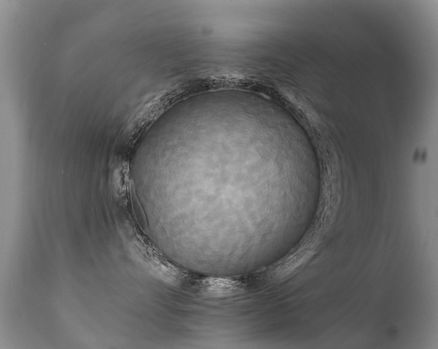 X0000112100528200908111420