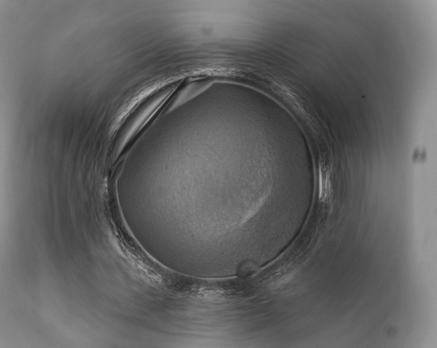 X0000112100531200908111420