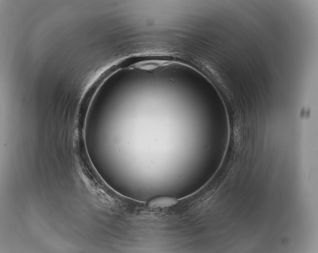 X0000112100532200908111420