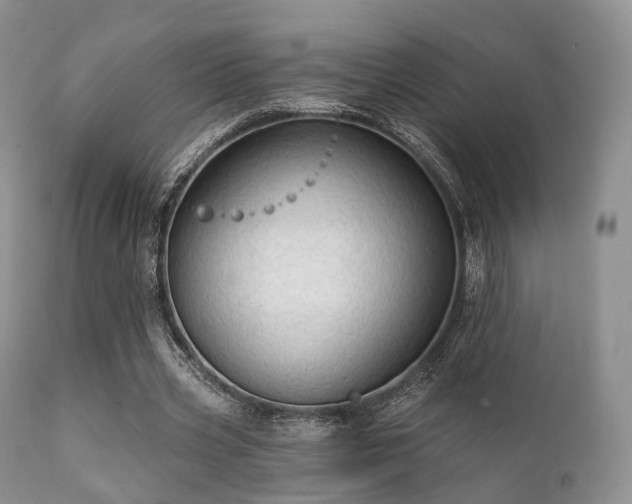 X0000112100533200908111420