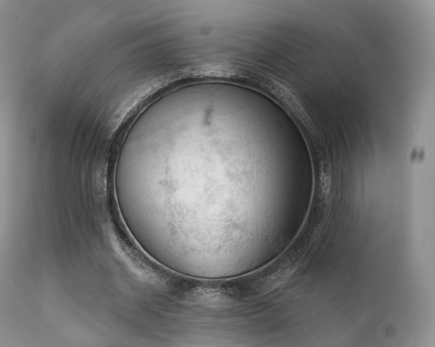 X0000112100534200908111420