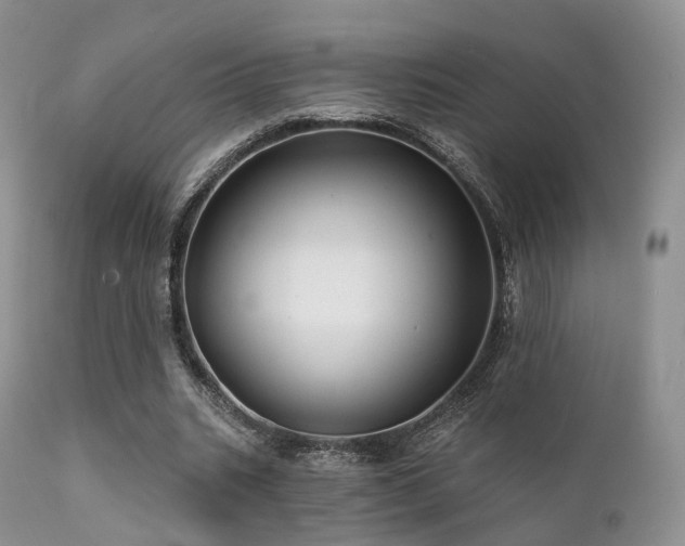 X0000112100535200908111420