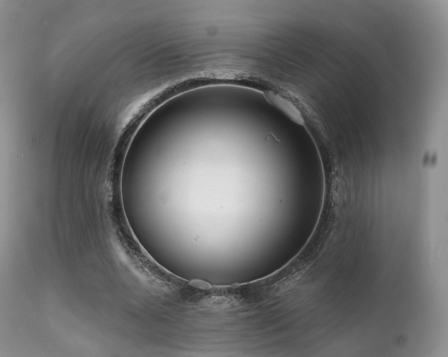 X0000112100536200908111420