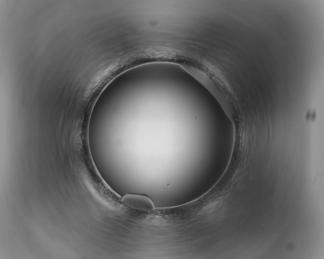 X0000112100538200908111420