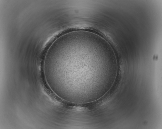X0000112100539200908111420