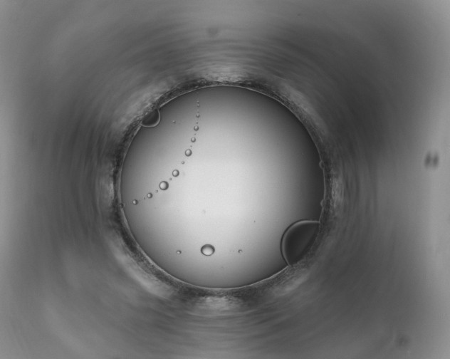 X0000112100541200908111420