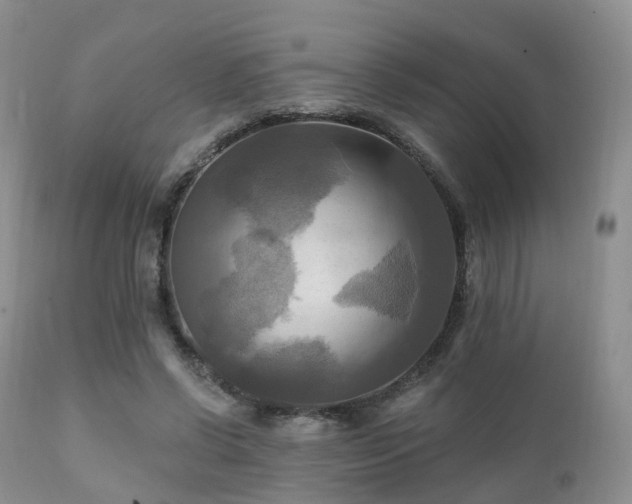 X0000112100542200908111420