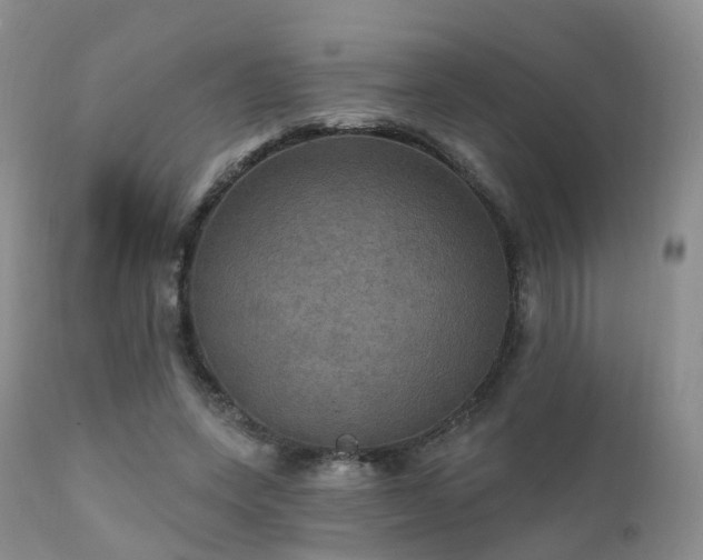 X0000112100543200908111420