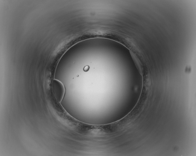X0000112100544200908111420