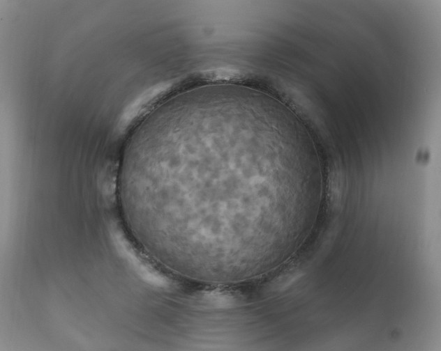 X0000112100545200908111420