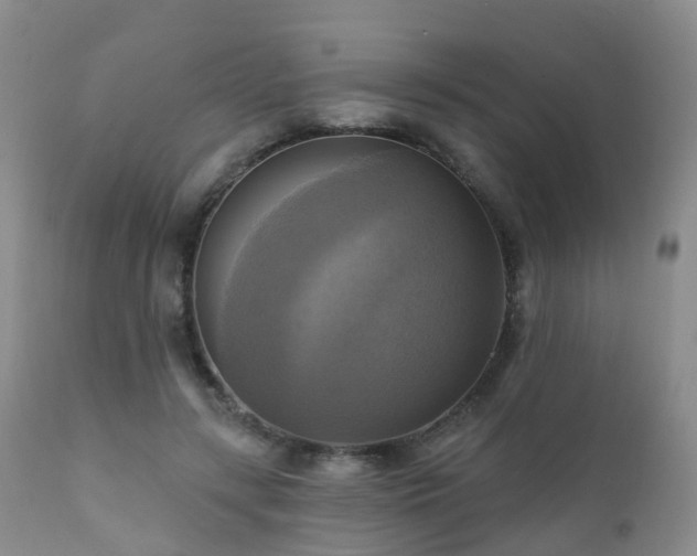 X0000112100547200908111420
