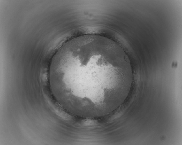 X0000112100549200908111420