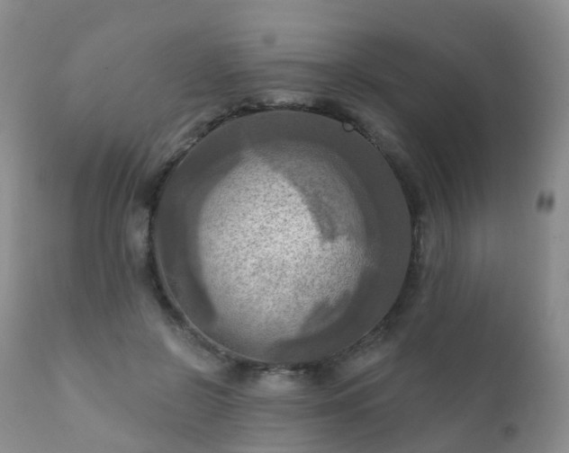 X0000112100550200908111420