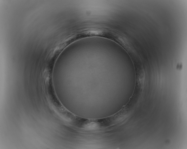 X0000112100551200908111420