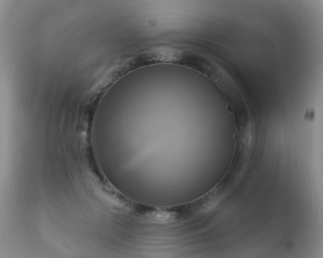 X0000112100553200908111420