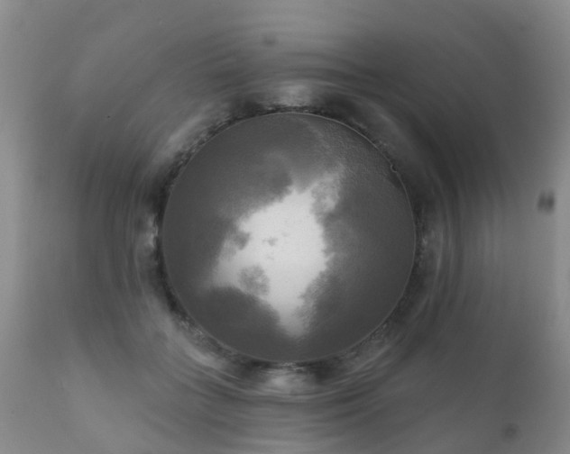X0000112100555200908111420