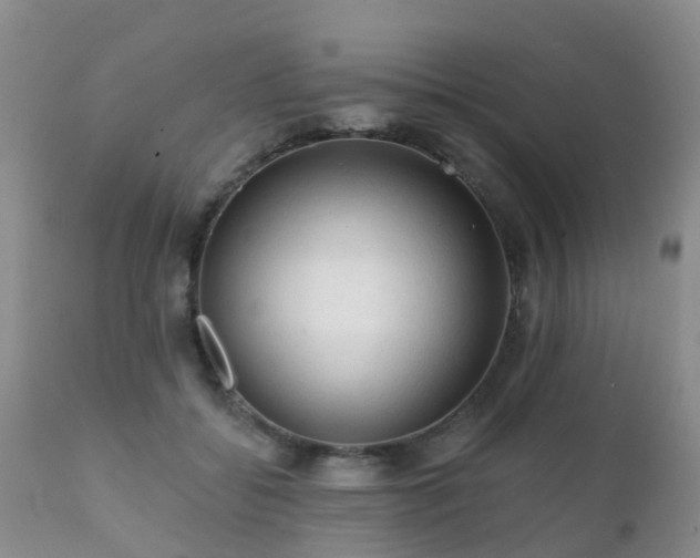X0000112100556200908111420