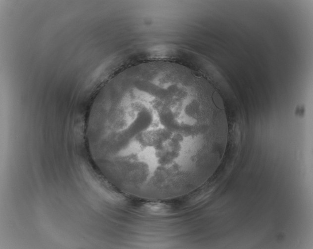 X0000112100557200908111420